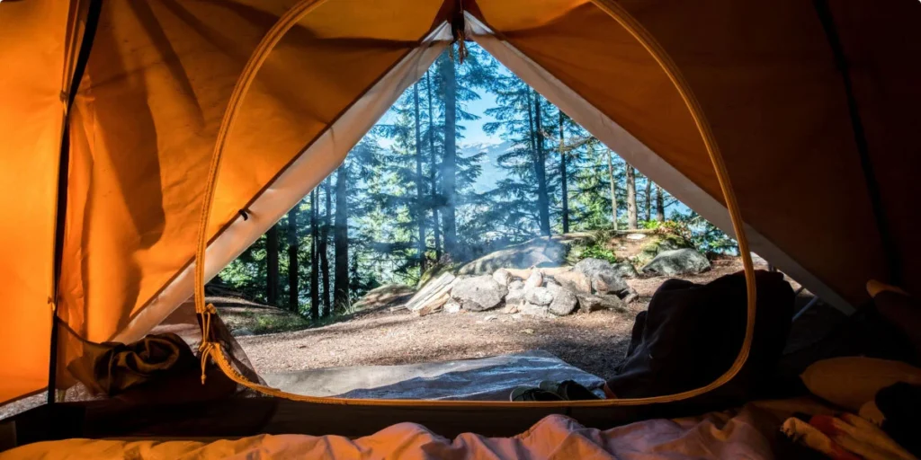 Into the Wild: Eco-Adventure Tours for Nature Enthusiasts T7 1024x512