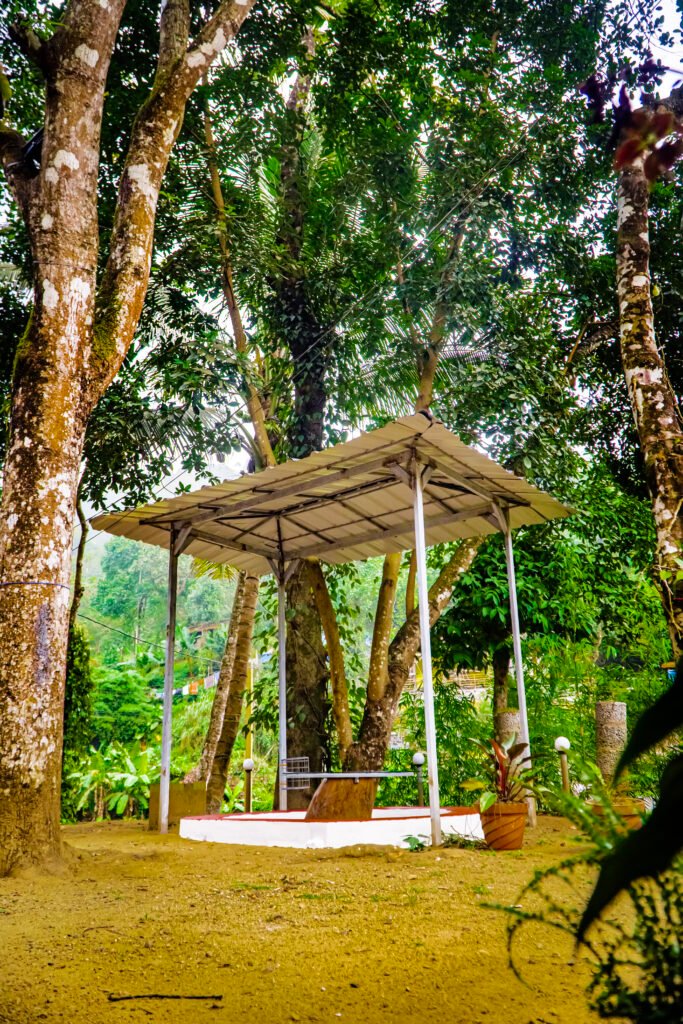 FIL09491 Copy 683x1024